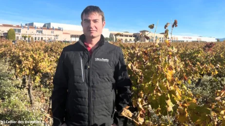 Cellier des Dauphins a refondu son infrastructure pour la performance de son ERP