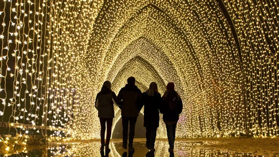 5 sorties lumineuses de fin d'année