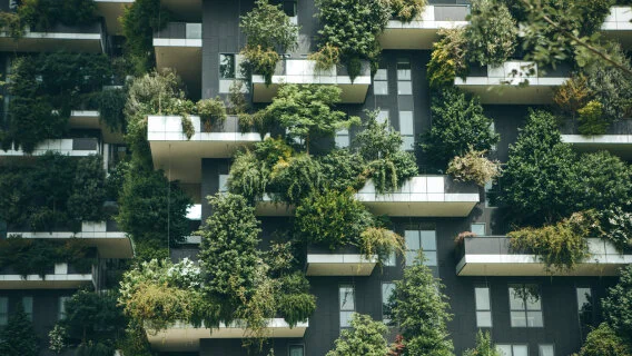 Quand la « valeur verte » agit sur les loyers de bureaux