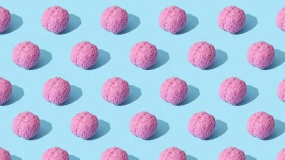 Spécial HA ! Days Prestations Intellectuelles : des clés pour gérer une famille d’achats sensible