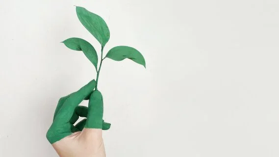 5 choses à savoir pour bien mesurer ses engagements RSE