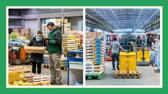 Les sciences mathématiques au service de la supply chain de Rungismarket.com