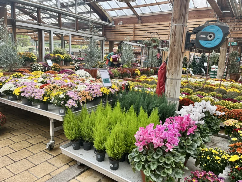 Marché du jardin : les jardineries décrochent, les enseignes de bricolage résistent