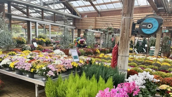 Marché du jardin : les 5 enseignements clés d’une année contrastée