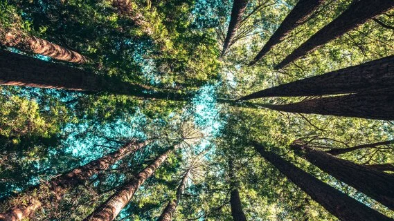 Les achats responsables au coeur du rapport final de la Convention des entreprises pour le climat
