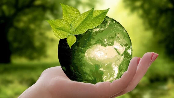 Environnement : quelles sont les enseignes les plus engagées dans l'e-commerce ?