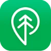 TREEBAL